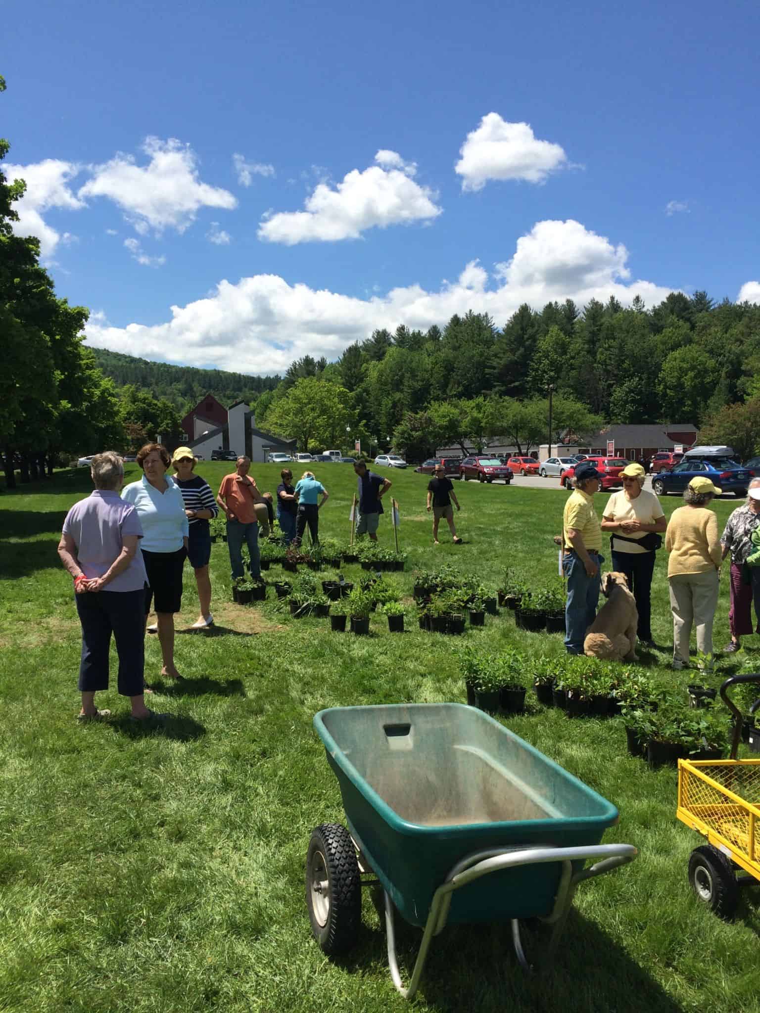 Mountain Gardeners Plant Sale Mad River Valley Chamber Of